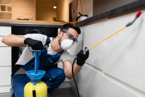 Best Bed Bug Extermination  in Country Homes, WA