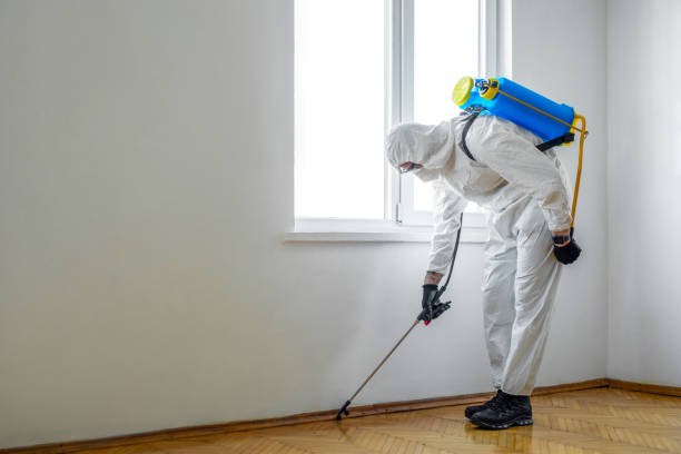 Best Cockroach Control Services  in Country Homes, WA