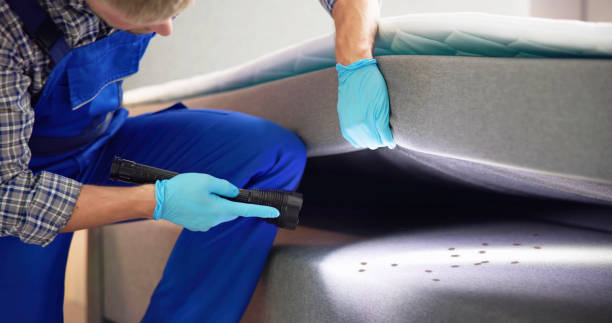 Best Ant Control Services  in Country Homes, WA