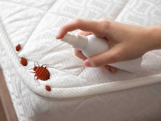  Country Homes, WA Pest Control Pros