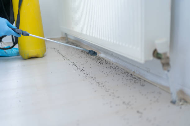 Best Mosquito Control Services  in Country Homes, WA