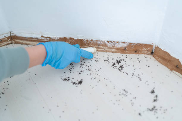 Best Wildlife Control Services  in Country Homes, WA