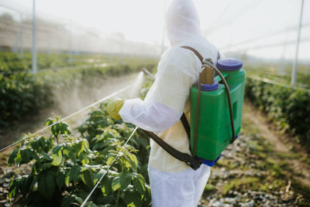 Best Local Pest Control Services  in Country Homes, WA